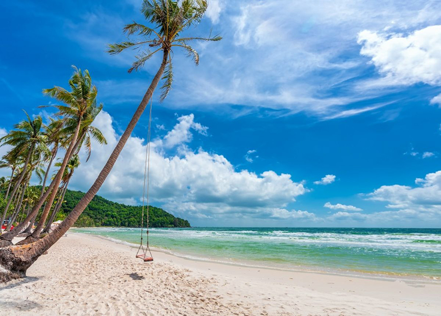 bai sao phu quoc